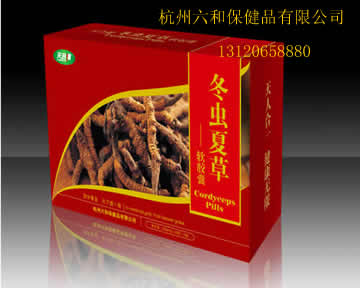 會(huì)銷精品—冬蟲夏草軟膠囊 