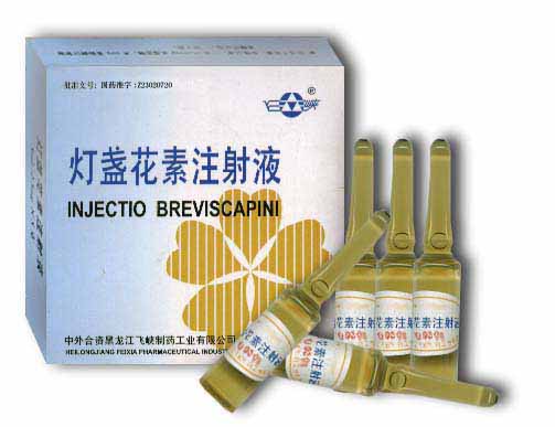 燈盞花素注射液（心腦血管病患者的福音“扶祛醒”）  全國招商 
