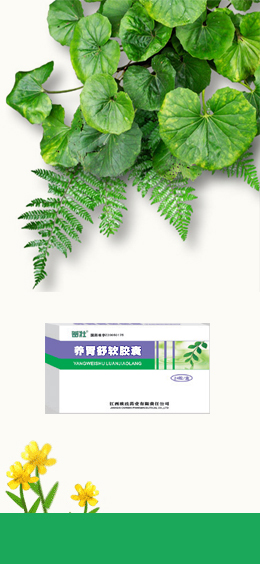 養(yǎng)胃舒軟膠囊 